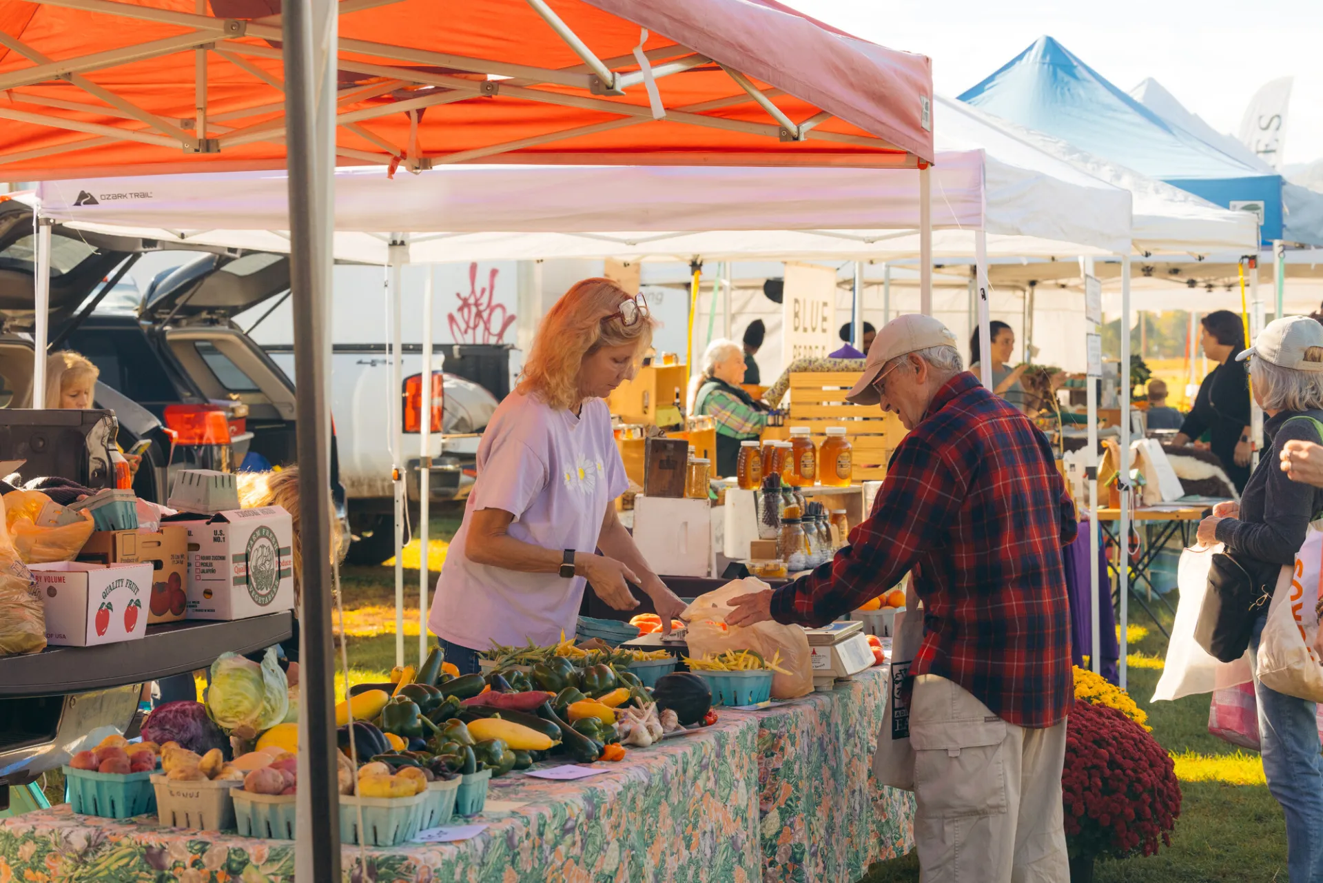 A man picks out vegetables from a farmers market stand. 